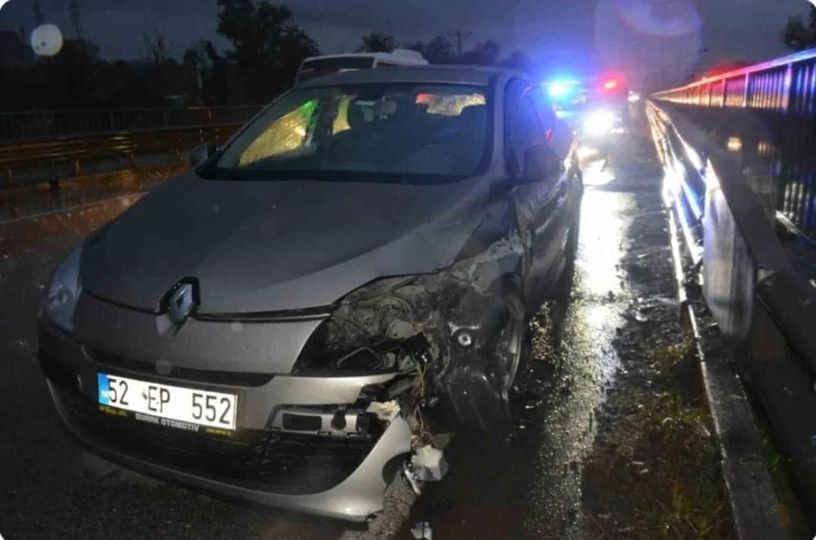 Kediye Çarpmamak İsterken Bariyerlere Çarptı: 2 Yaralı kedi