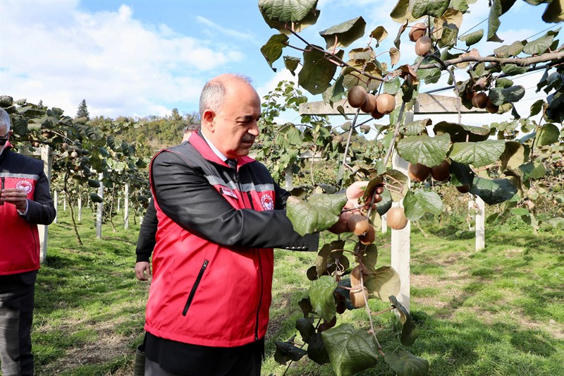 Vali Erol, Kivi Hasadına Katıldı ki2