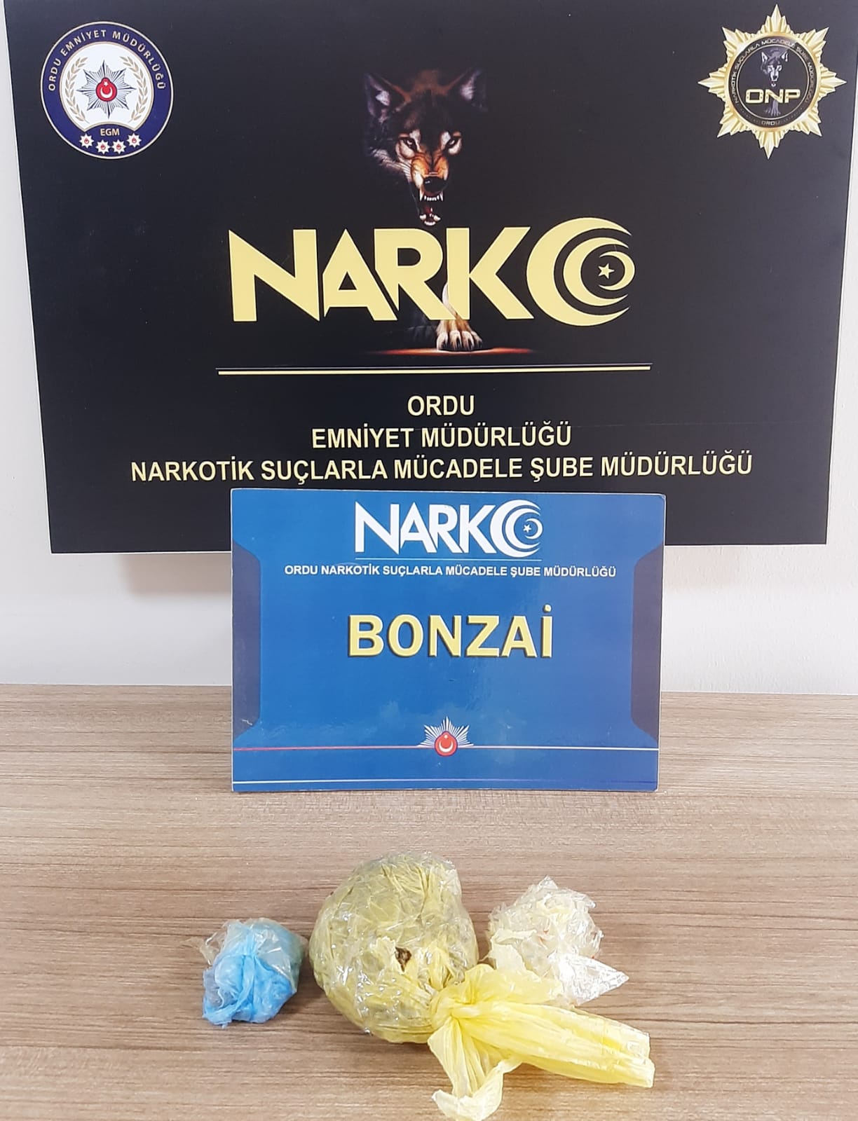 Ordu’da Narkotik Operasyonları: Uyuşturucu Ticareti ve Kullanımına Darbe Narko foto 1