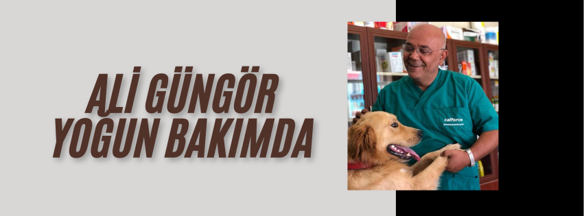 Ünye’nin Sevilen Veterineri Ali Güngör Yoğun Bakımda Unyenin Sevilen Veterineri Ali Gungor Yogun Bakimda 4o