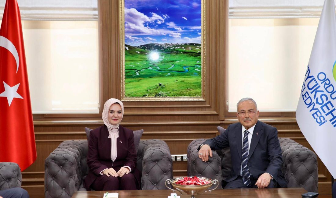 AİLE VE SOSYAL HİZMETLER BAKANI MAHİNUR ÖZDEMİR GÖKTAŞ BÜYÜKŞEHİRDE
