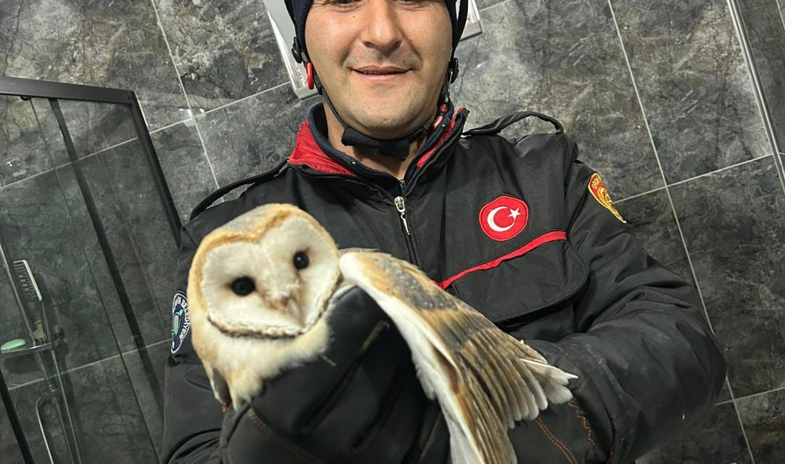 İTFAİYE EKİPLERİ MAHSUR KALAN BAYKUŞ İÇİN SEFERBER OLDU