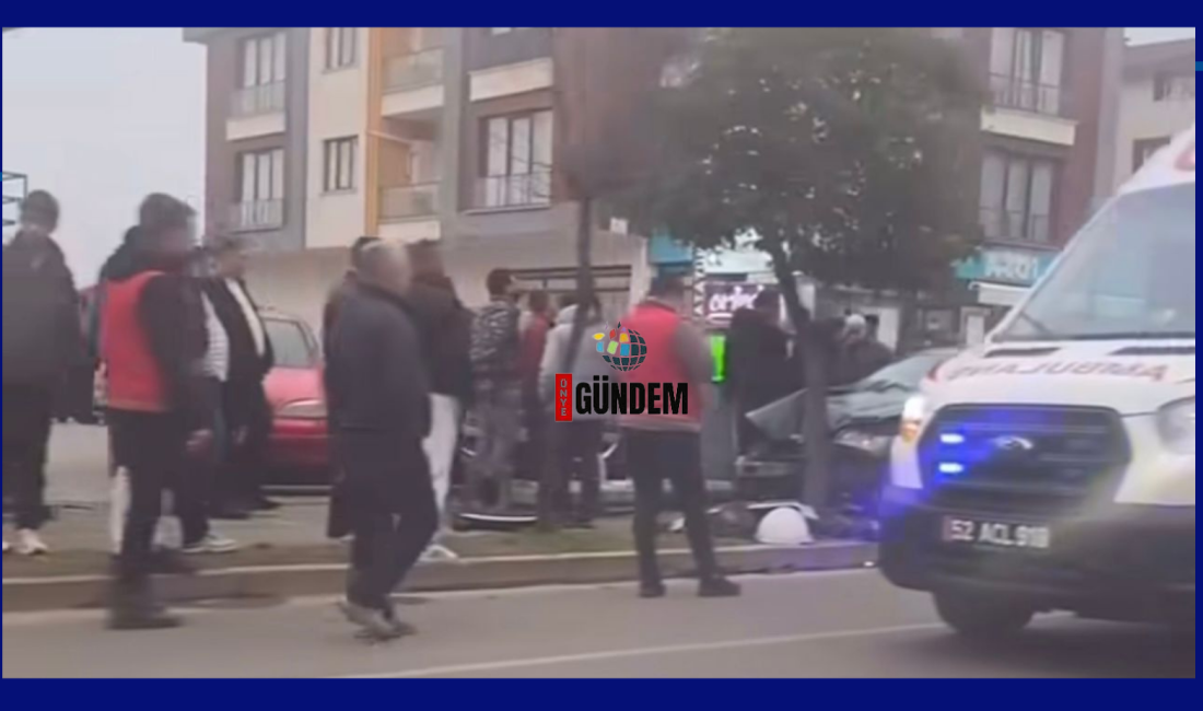 Ünye Çamlık Mevkii'nde Feci Kaza: Araç Kontrolden Çıktı, Ağaca ve