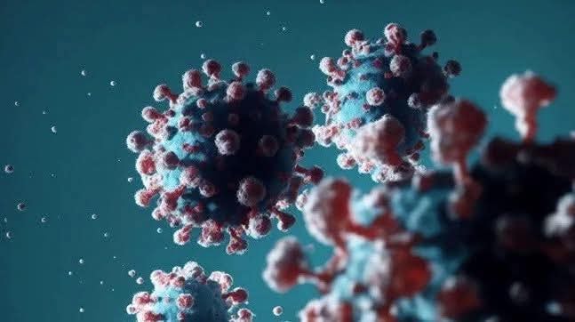 ABD’de Kuş Gribi Nedeniyle İlk İnsan Ölümü Gerçekleşti kus gribi