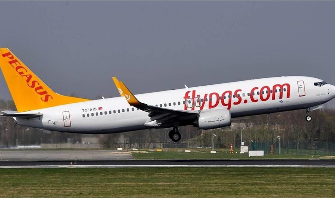 Uçakda Üzen Olay: Erken Doğum Sonrası Bebek Kurtarılamadı