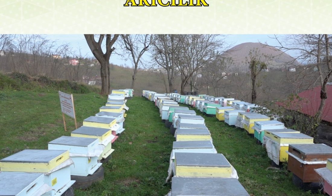 KKYDP Kapsamında Arıcılık ve Arı Ürünlerine Yönelik Yatırımların Desteklemeleri Başladı