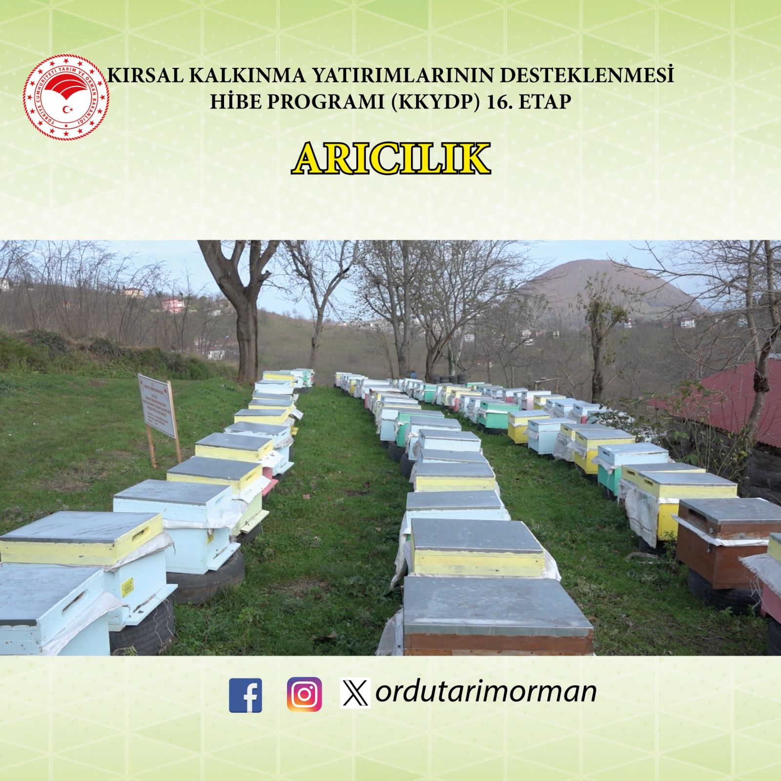 ARICILIK DESTEK
