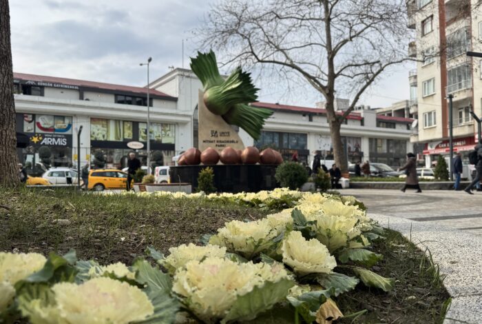 MİTHAT KISACIKOĞLU PARKINA FINDIK FİGÜRLÜ YENİLEME