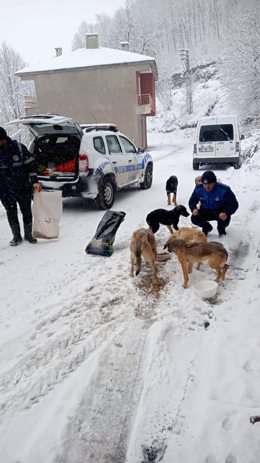 akkus belediyesi sokak kopeklerine yemek.jpg1
