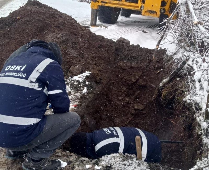 Ordu’da etkili olan yoğun kar yağışı ve aşırı soğuklar nedeniyle