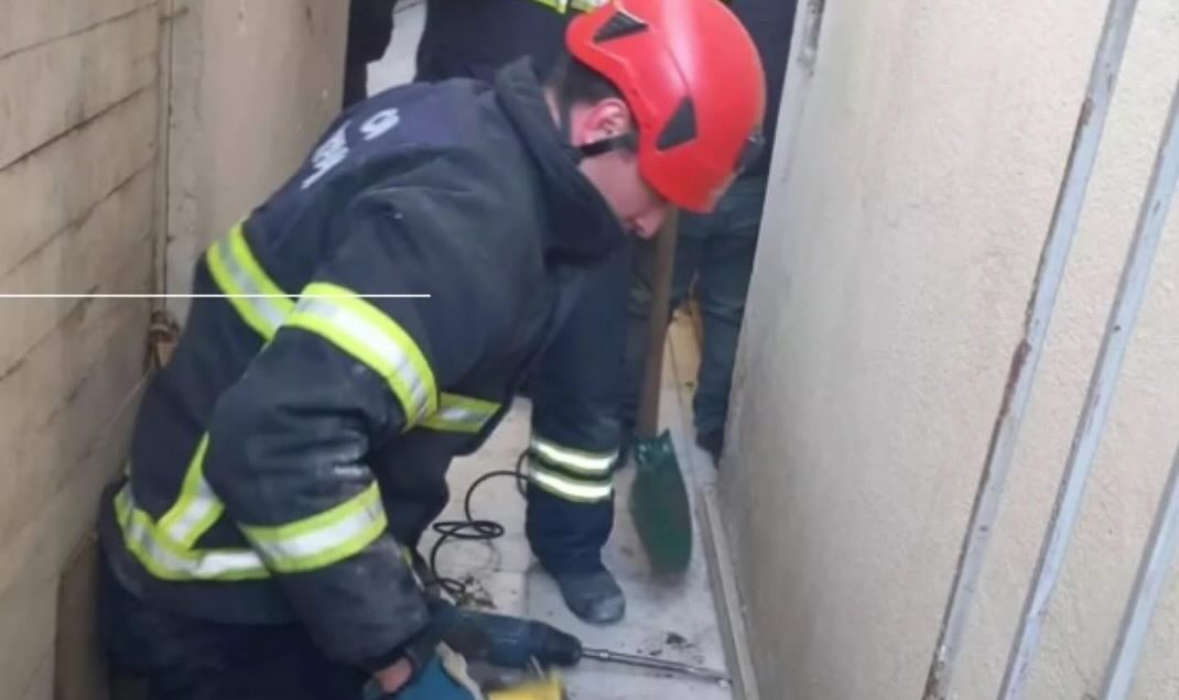 Ünye’de Kedi Kurtarma Operasyonu: İtfaiye Ekipleri Seferber Oldu