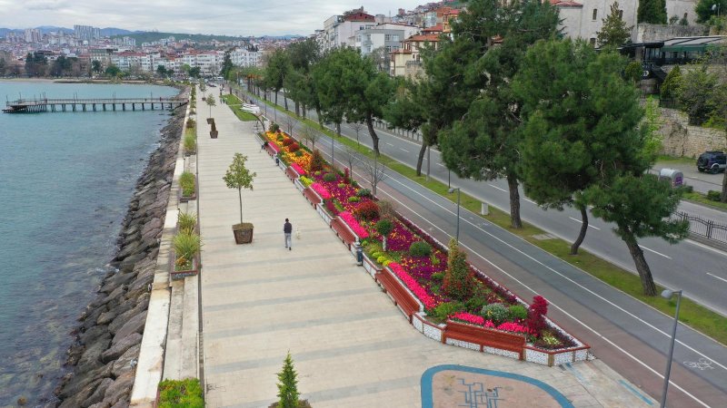 ordu da 7 milyona yakin agac fidan ve cicek dikildi 3535