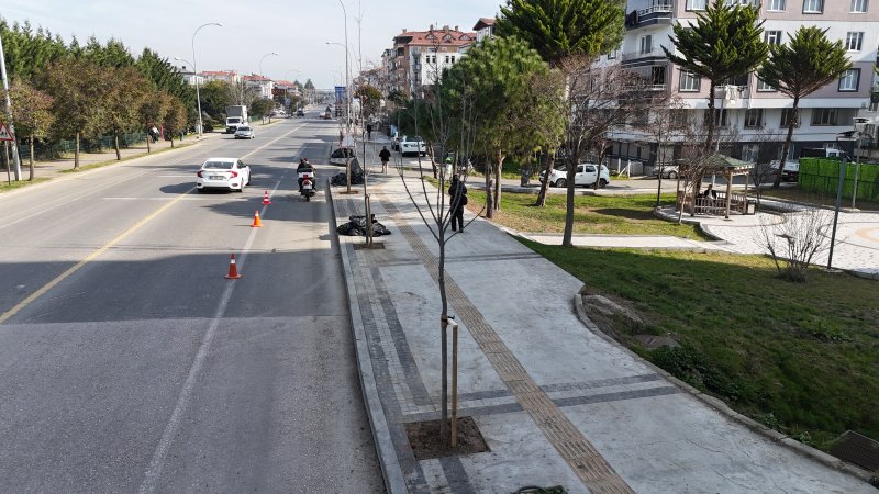 ordu da 7 milyona yakin agac fidan ve cicek dikildi 356