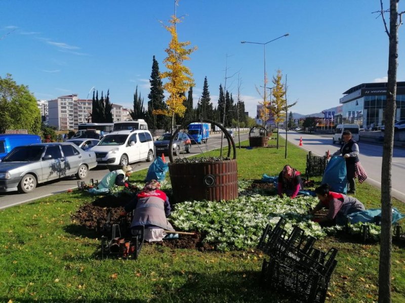 ORDU’DA 7 MİLYONA YAKIN AĞAÇ, FİDAN VE ÇİÇEK DİKİLDİ