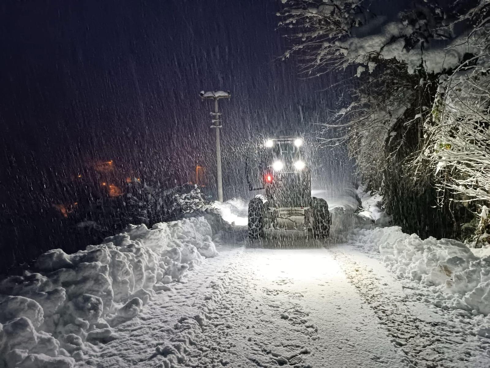 ordu kis