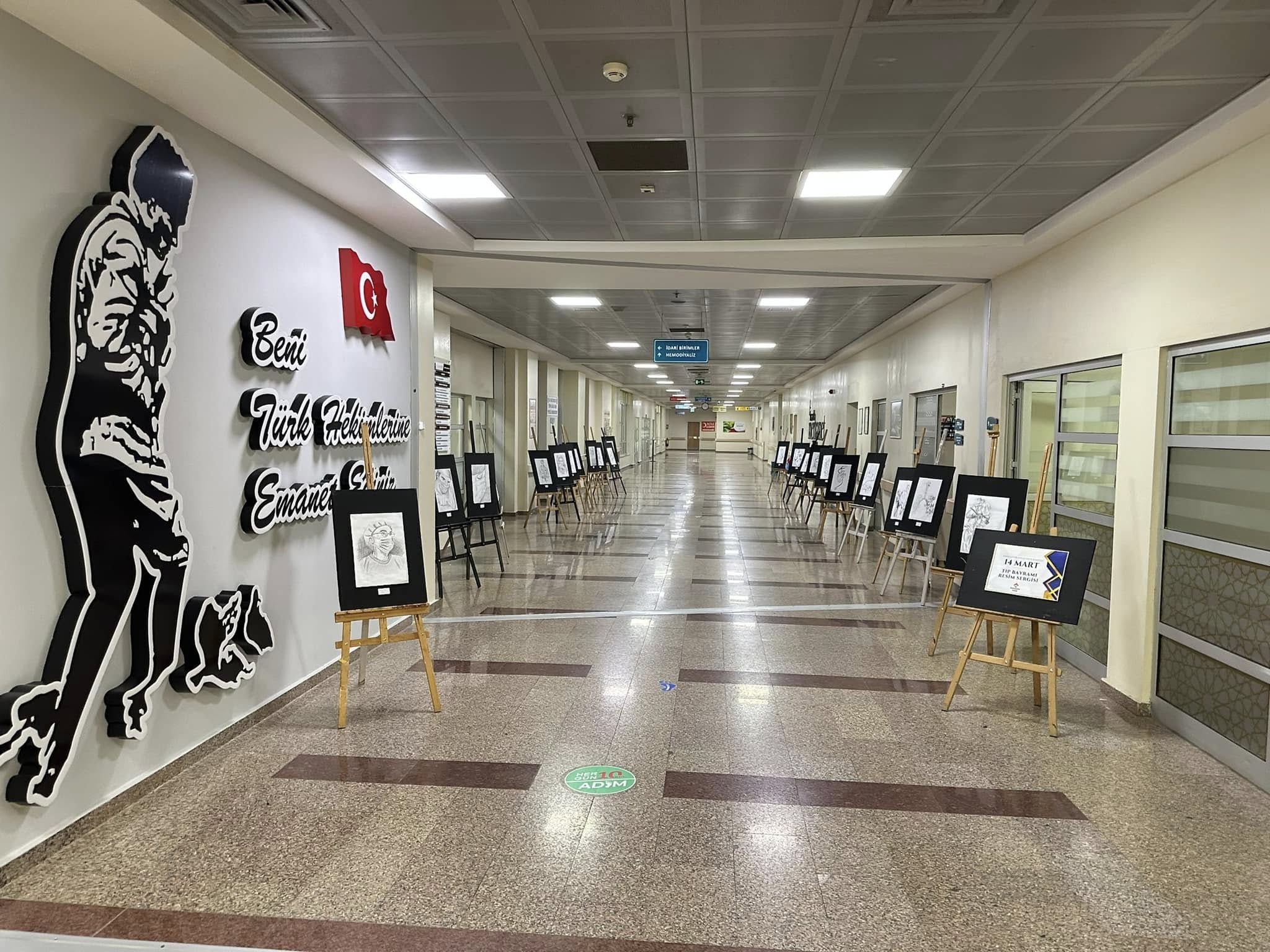 UNYE DEVLET HASTANESI BAHCESEHIR KOLEJI RESIM SERGISI.jpg3