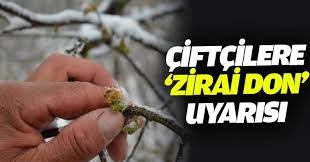 Ordu’da Zirai Don Uyarısı! Çiftçiler Dikkat cifcilere zirai don uyarisi