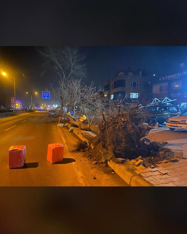 Fatsa'da Tır Kazası fatsa da tir agaca carpti