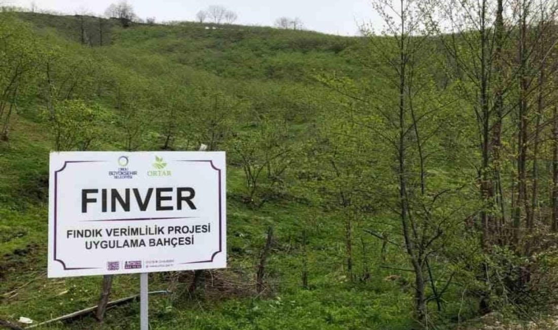 BAŞKAN HİLMİ GÜLER’İN 4 YIL ÖNCE BAŞLATTIĞI FINVER PROJESİ 300