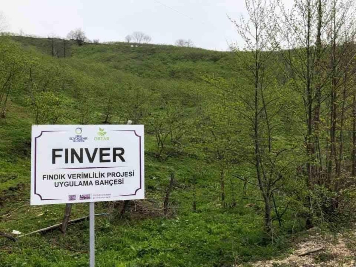 Fınver Projesi İL Sınırlarını Aştı finver projesi il sinirlarini asti 6961