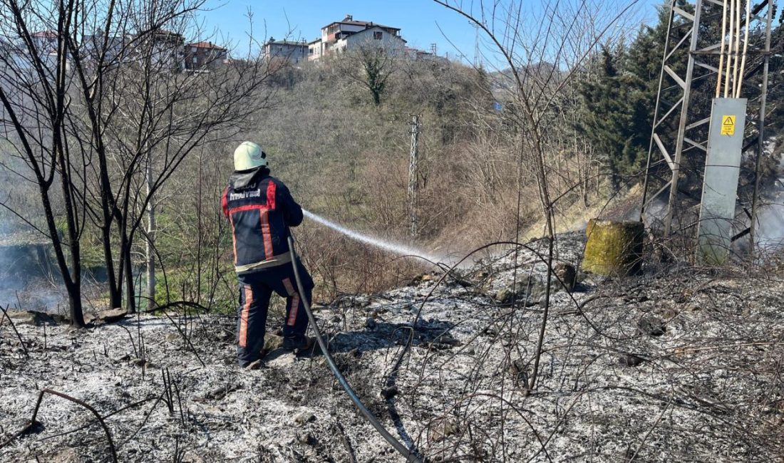 Sıcaklık değerlerinin mevsim normallerinin üzerine çıktığı Ordu’da, son bir hafta