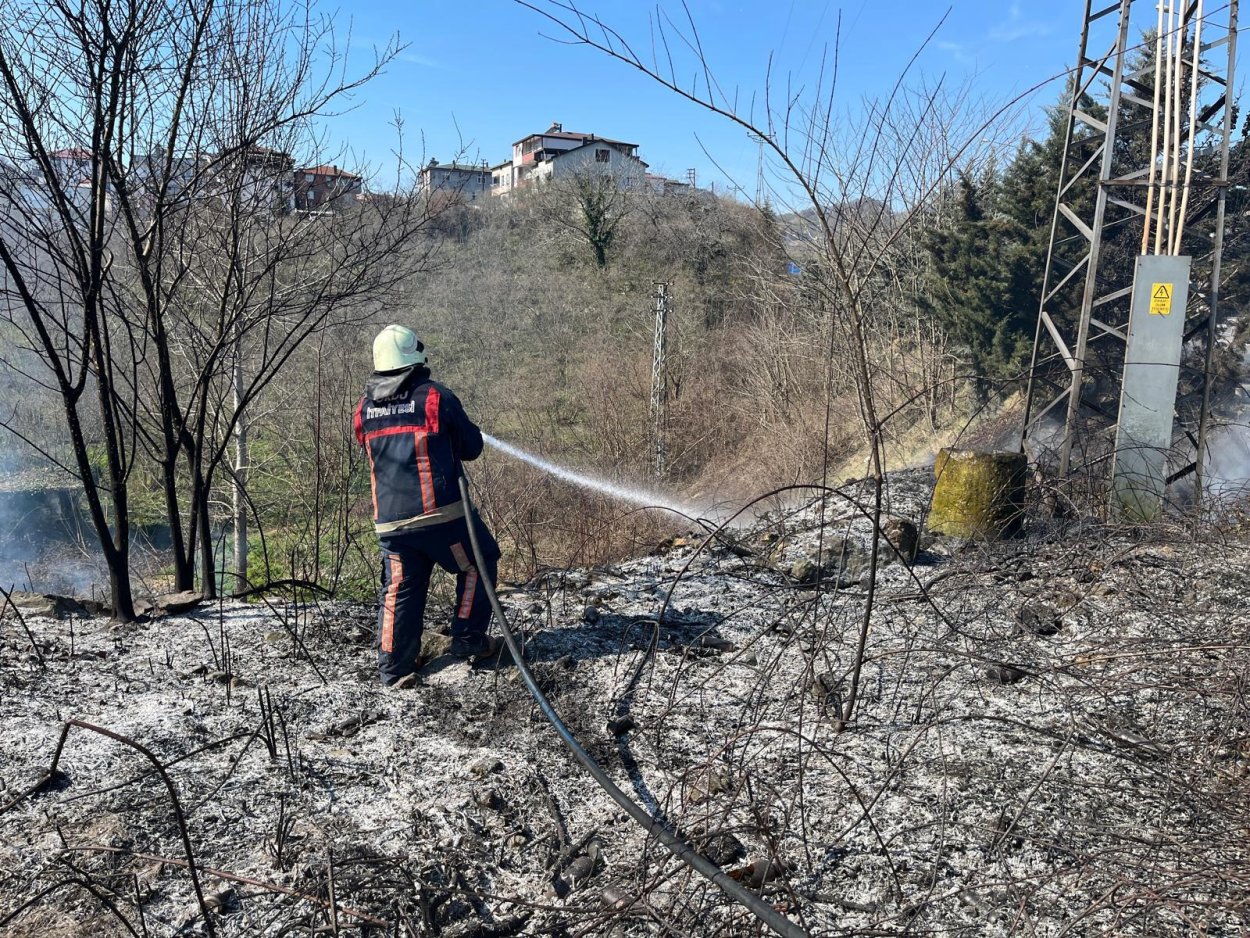 ordu da bahce ve aniz yanginlari artti 6990