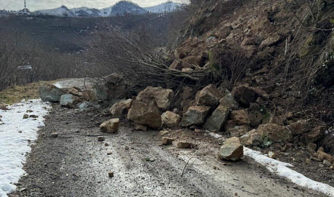 BÜYÜKŞEHİR EKİPLERİ SAHADA ÇALIŞMALARINI SÜRDÜRÜYOR