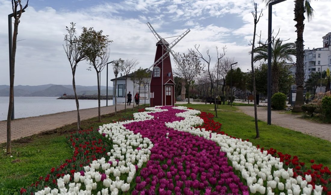 Ordu Büyükşehir Belediyesi tarafından Kasım ve Aralık aylarında toprakla buluşan