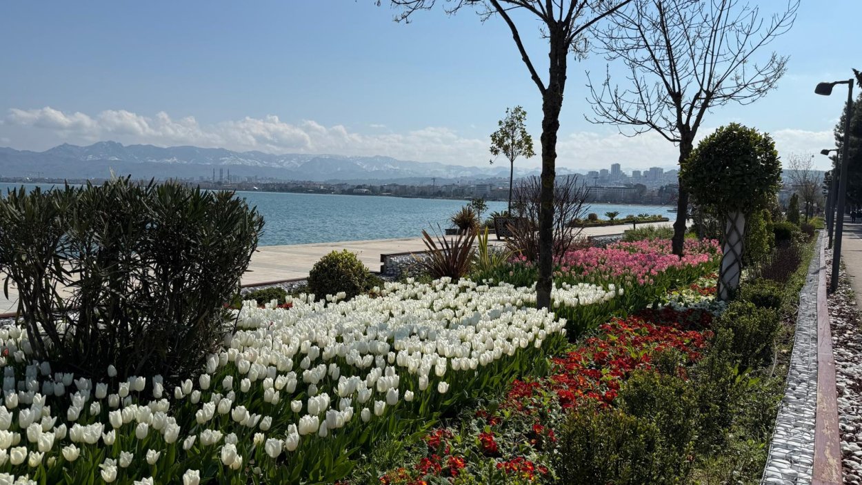 Ordu’da Görsel Şölen ordu da gorsel solen 4808
