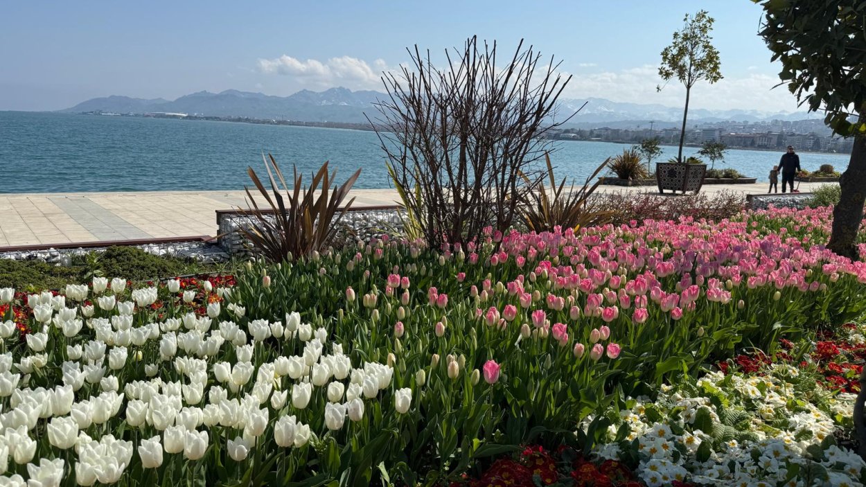 ordu da gorsel solen 78