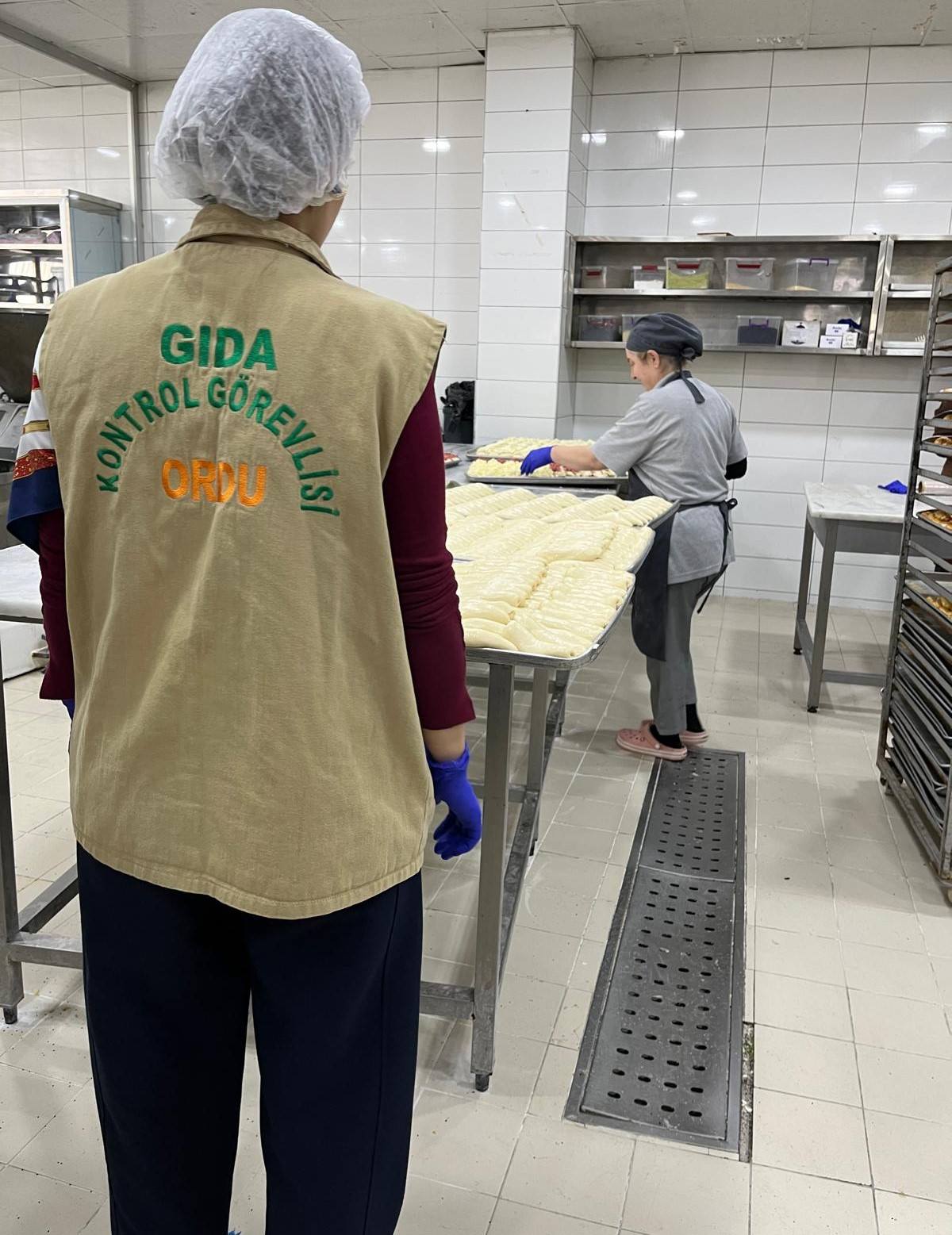 ordu gida denetimi