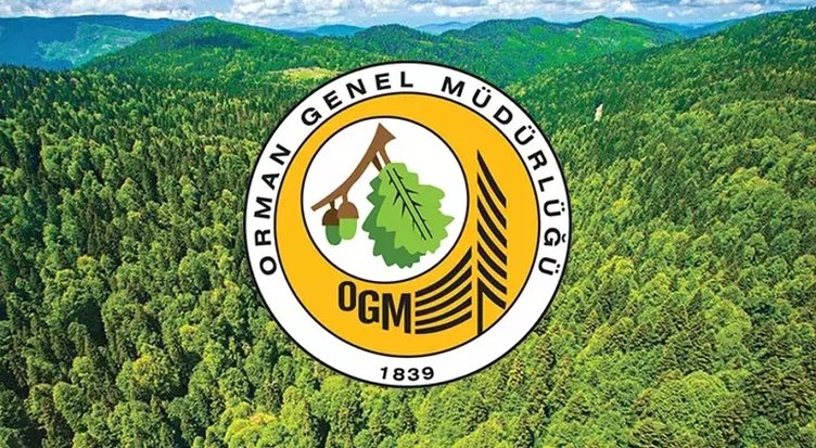 Ordu Orman İşletme Müdürlüğü’ne 21 İşçi Alınacak! orman genel mudurlugu ordu personel alacak ogm personel alim