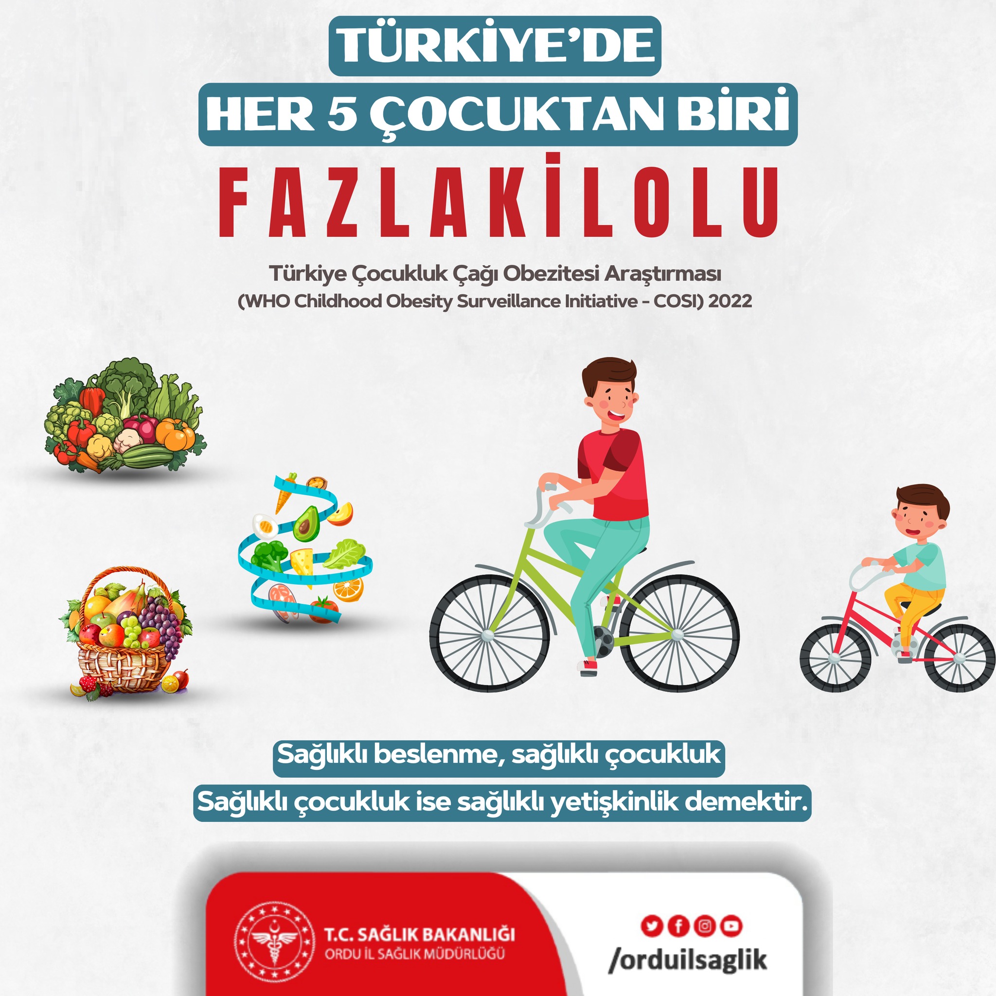 turkiye de cocukluk cagi obezitesi