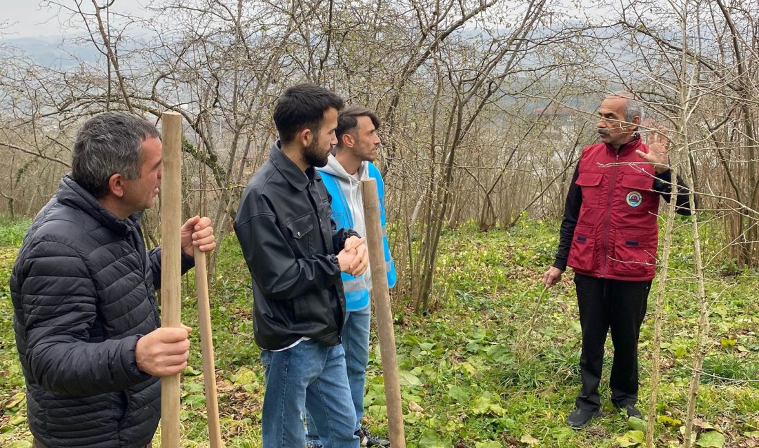 Ünye Ziraat Odası’ndan Tarım Okulunda Uygulamalı Eğitim: “Toprağa Dokunan Eller