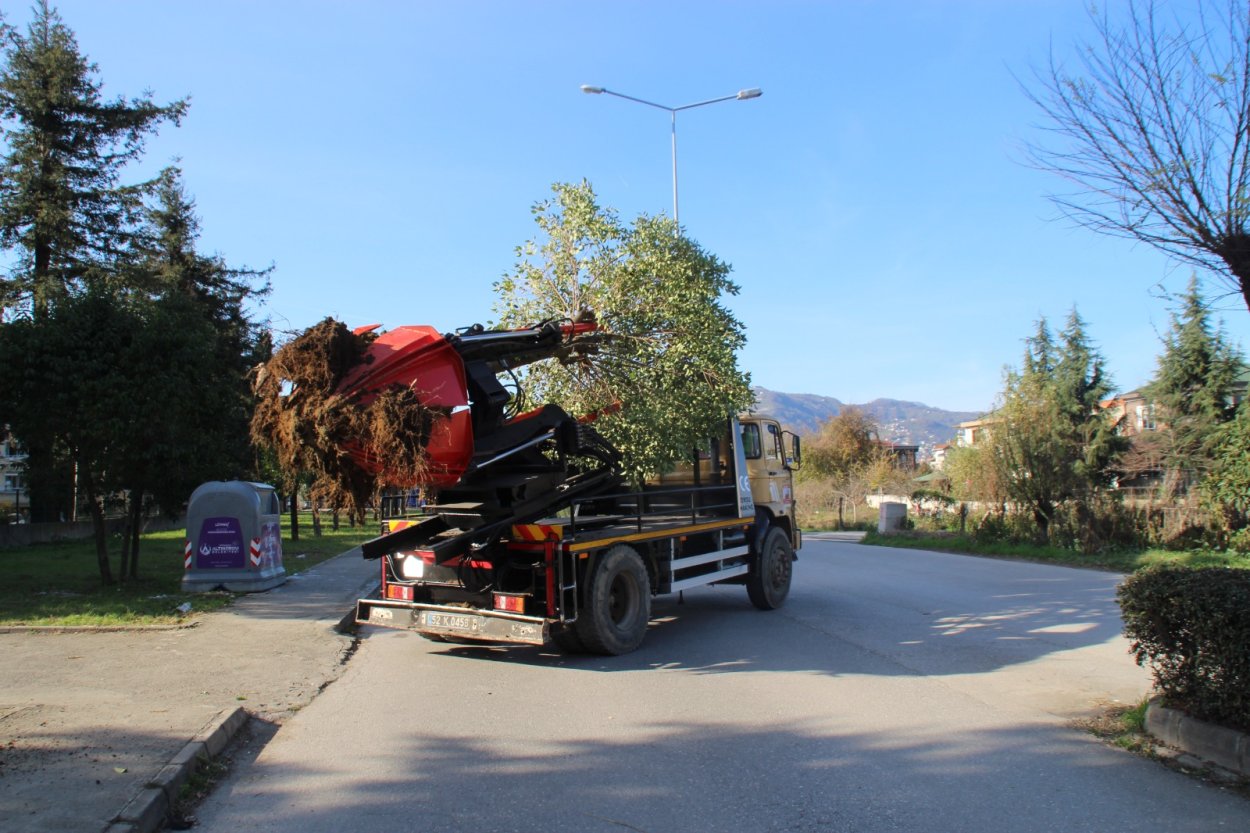 Ağaçlar Korunacak agaclar korunacak 4709