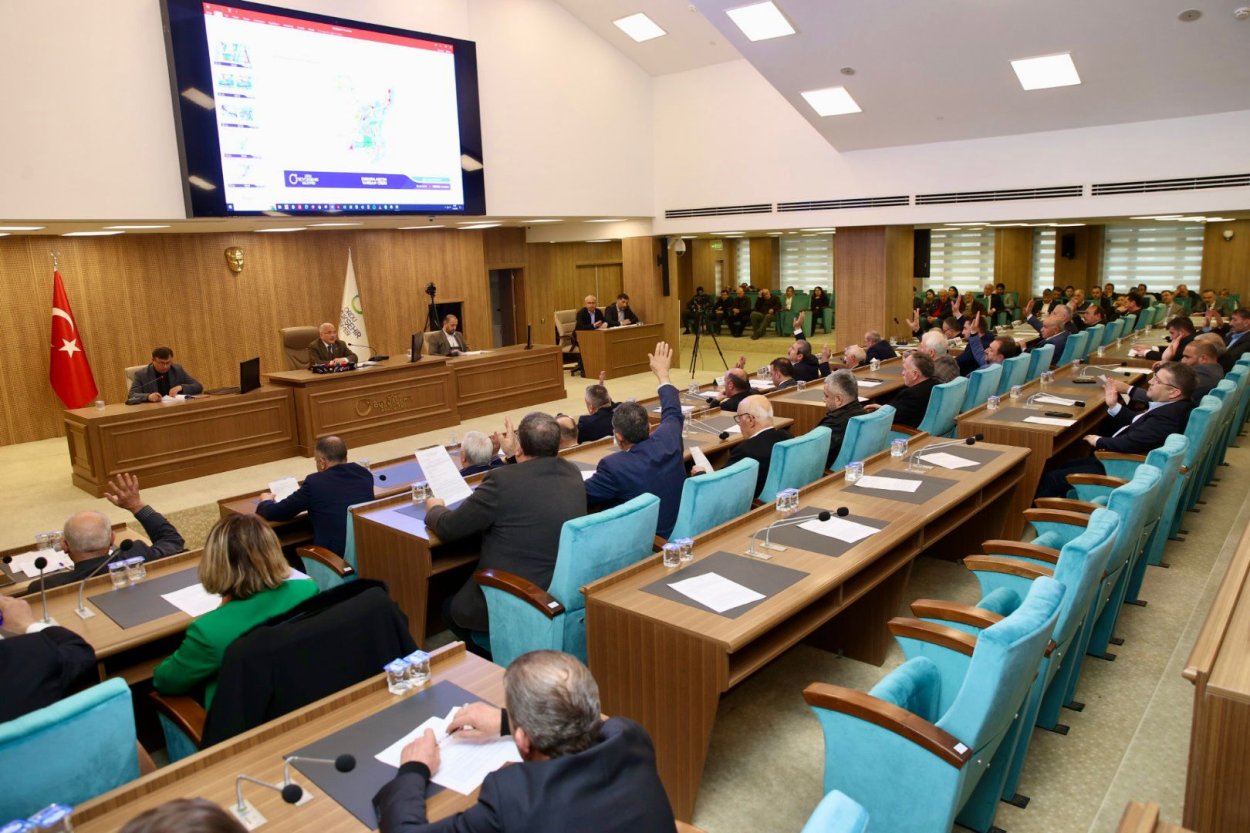 buyuksehir sokak hayvanlari konusunda hassas 4385