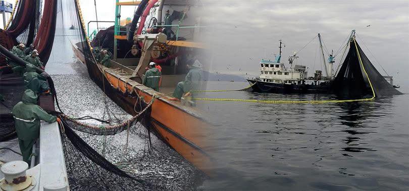 Denizlerde Av Yasakları 15 Nisan da Başlıyor deniz av yasak