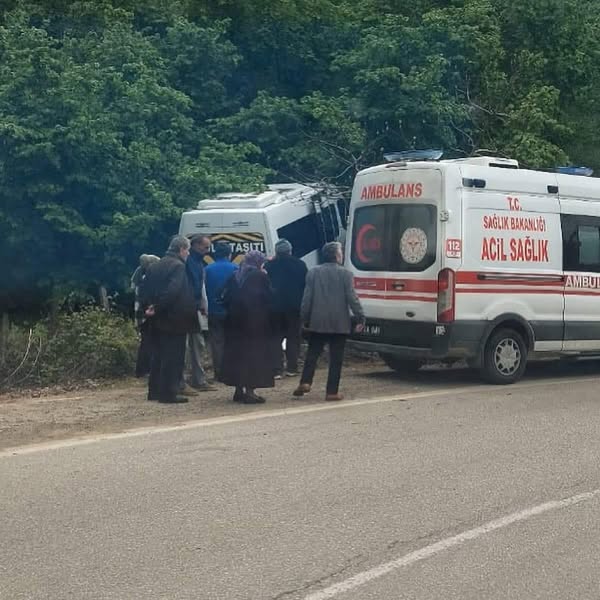 Minibüs Fındık Bahçesine Uçtu! fatsa trafik kazasi 2