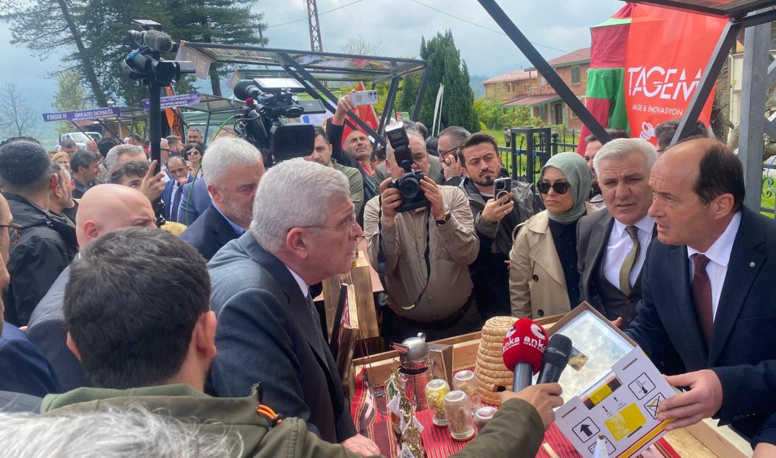 Fatsa Kaymakamlığı, Fatsa Belediyesi, Ziraat Odası, İlçe Tarım Müdürlüğü ve