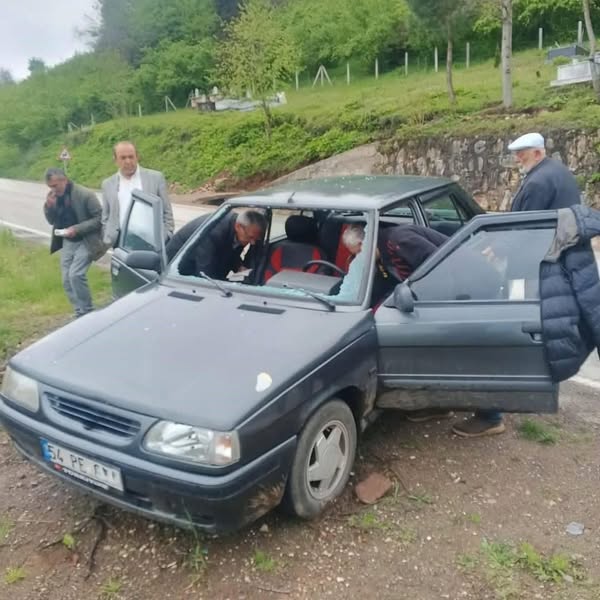 Yola Fırlayan Karaca Kazaya Neden Oldu karaca kazaya neden oldu
