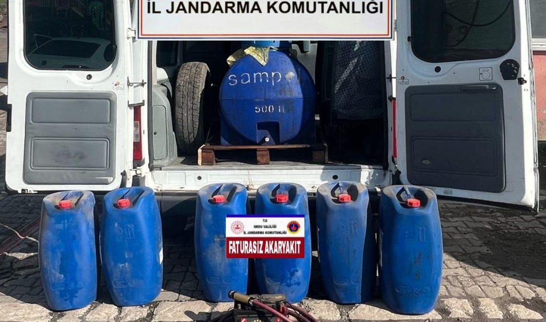 Jandarma Suçüstü Yakaladı