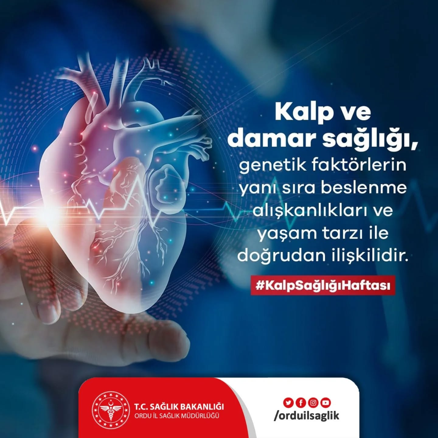 ordu il saglik mudurlugu