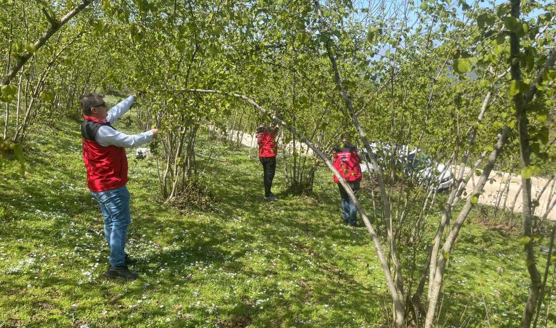 Ordu İl Tarım ve Orman Müdürlüğü, il genelinde yaşanan zirai