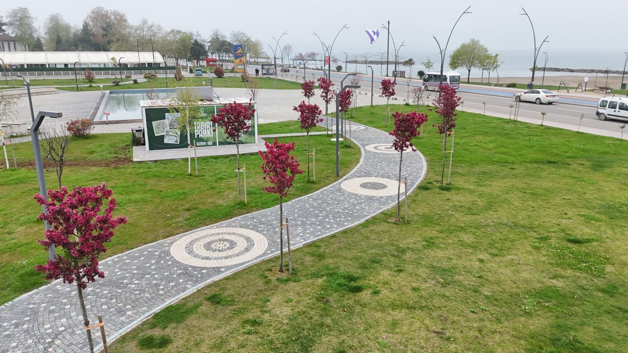 ordu nun parklarinda agaclar cicek acti 8940
