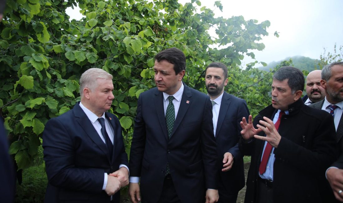 Saadet Partisi’nden Giresun ve Çanakçı Ziyareti