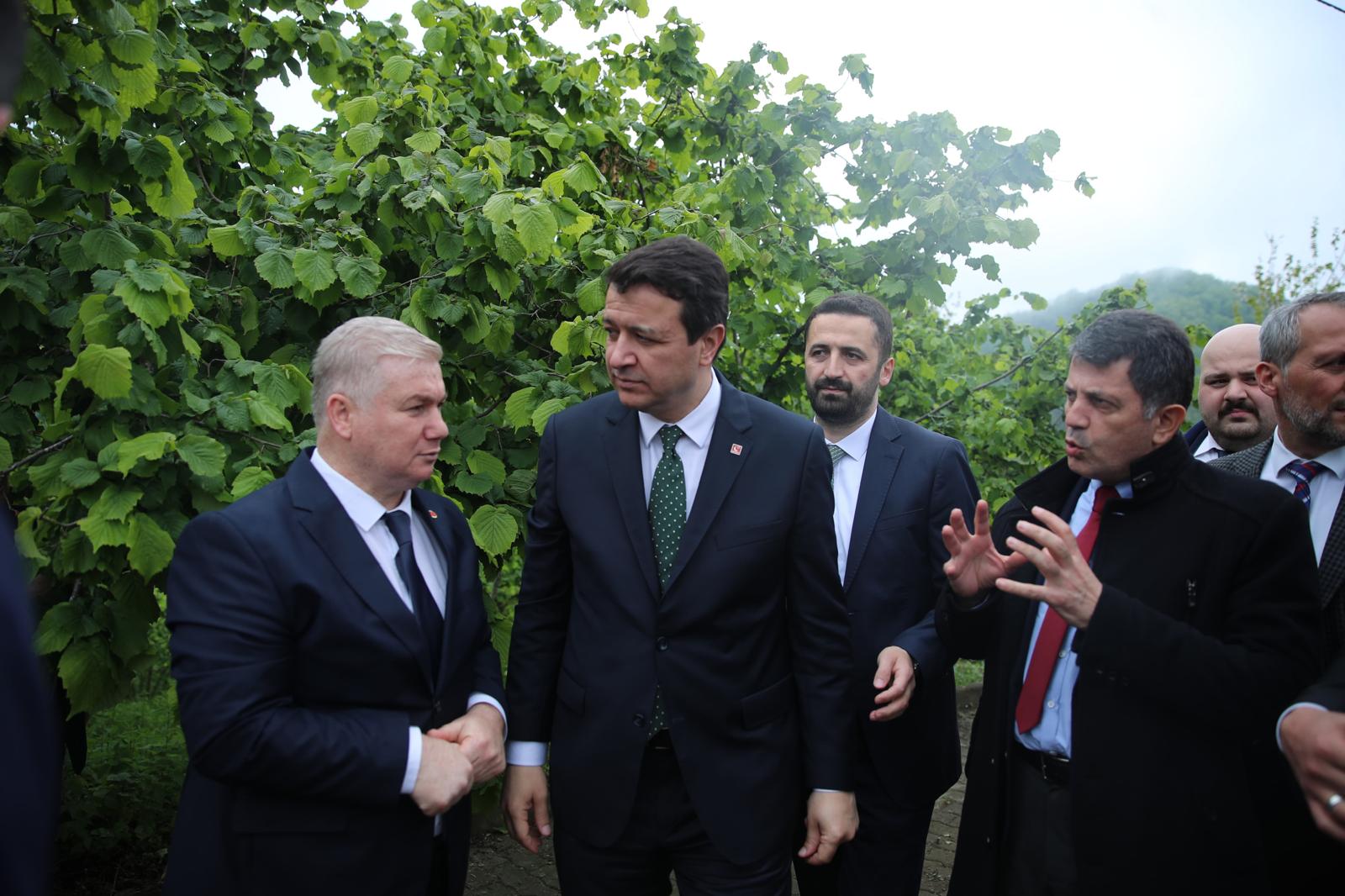 Saadet Partisi’nden Fındık Üreticisine Don Uyarısı unye saadet partisi.jpg2