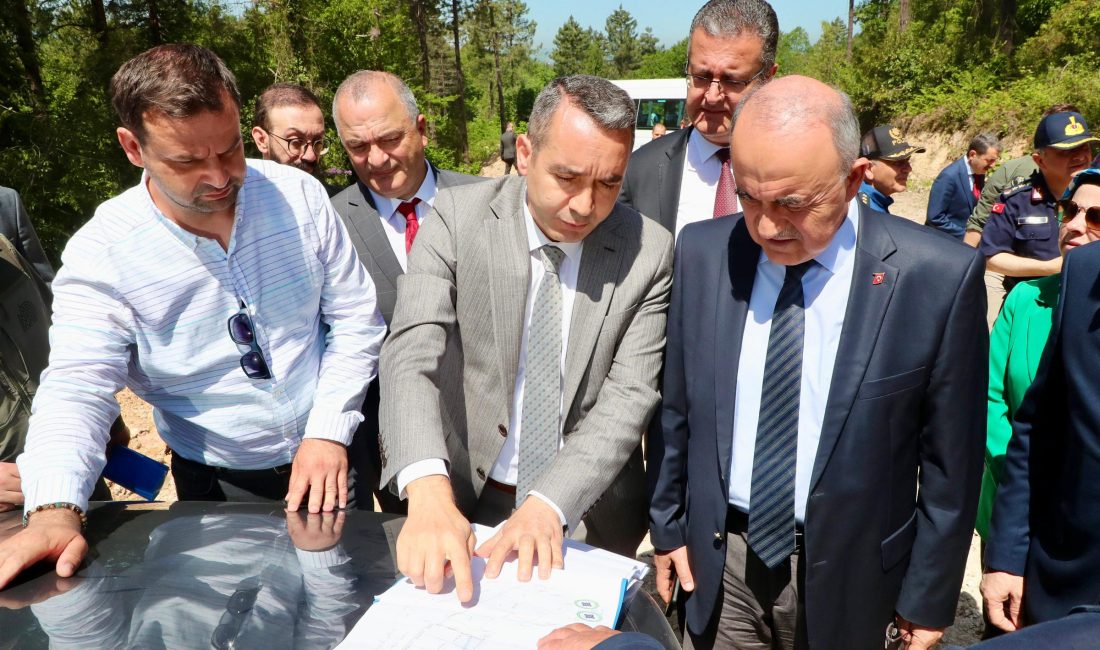 Ordu Valiliği bünyesinde, 5199 sayılı Hayvanları Koruma Kanunu kapsamında, sahipsiz