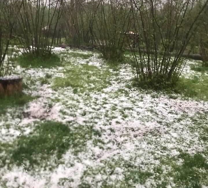 Fındık sezonu gelmeden önce, tekelci  alıcılar ve onların iş birlikçileri aynı