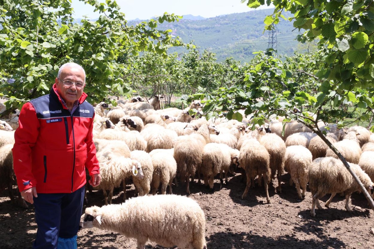 Başkan Güler: “Dağtımına Yaptığımız Hayvanları Kendimiz Yetiştiriyoruz” baskan guler dagitimini yaptigimiz hayvanlari kendimiz yetistiriyoruz 7197