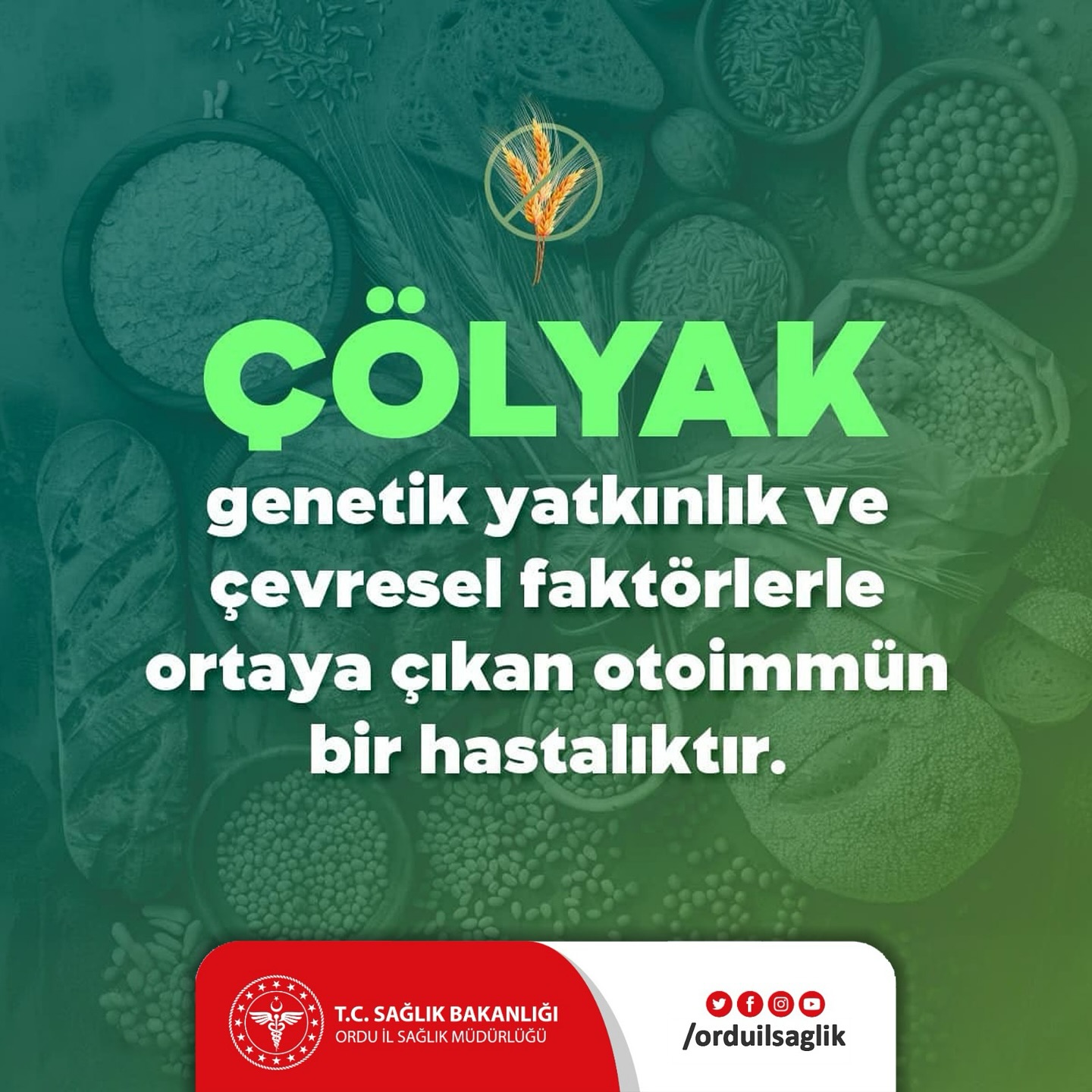 Ordu İl Sağlık Müdürlüğü'nden Uyarı colyak ordu il saglik